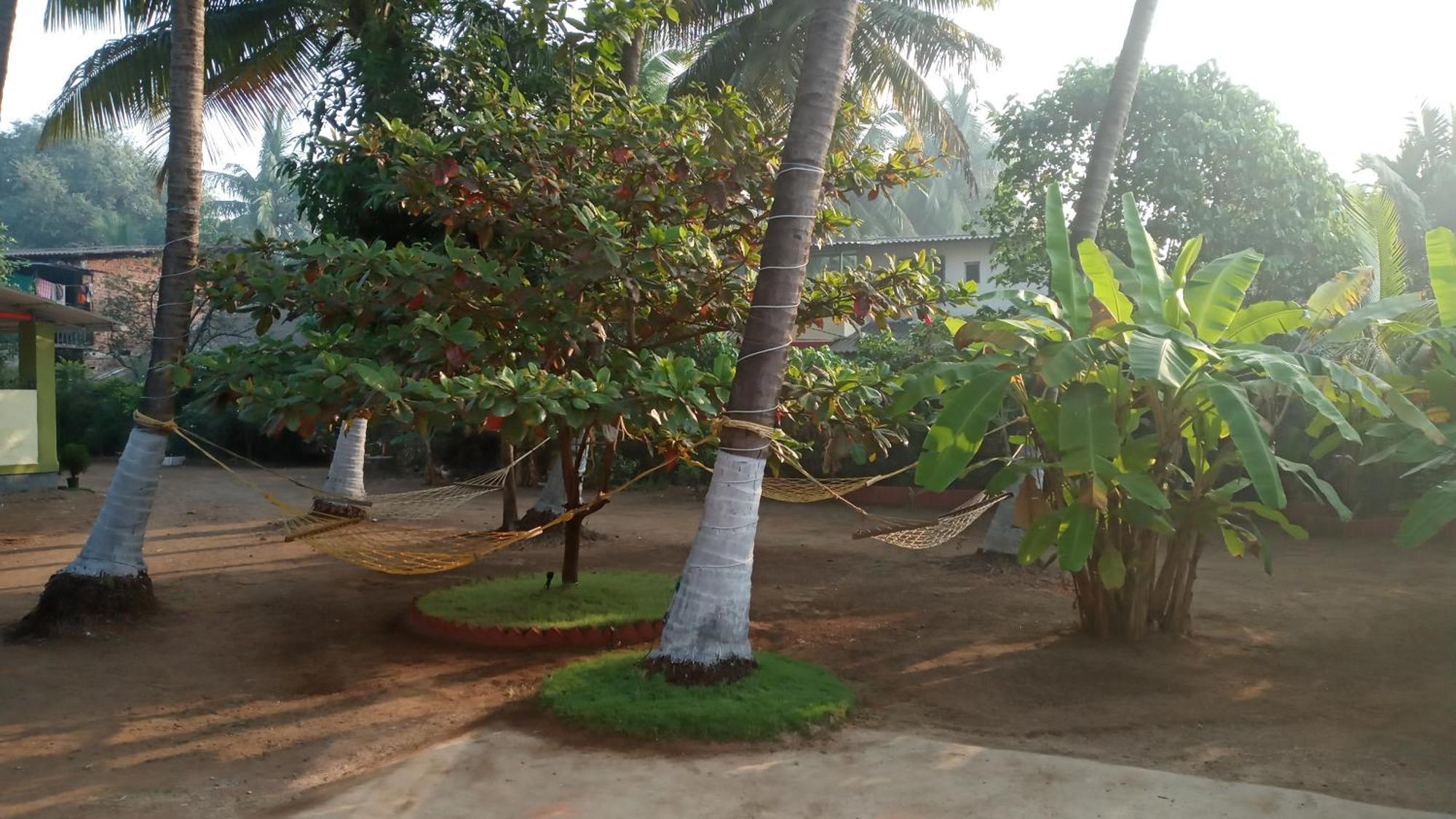 Coconut Village Resort アリバグ エクステリア 写真