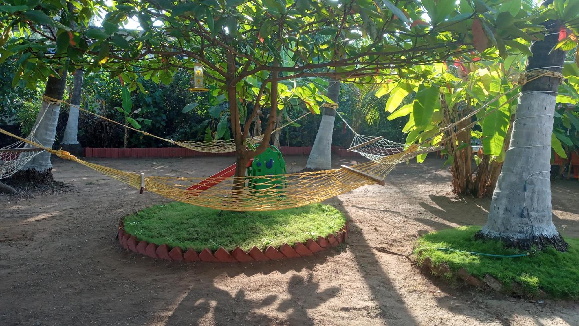 Coconut Village Resort アリバグ エクステリア 写真